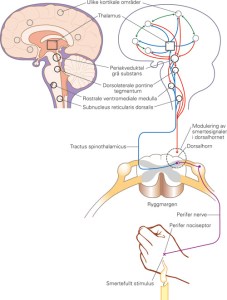 L10-19-Over-0079-01-NY
